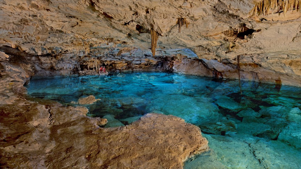 Ecopark Kantun Chi ofreciendo costa escarpada, cuevas y espeleología