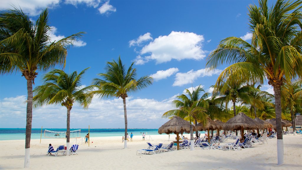 Cancun which includes tropical scenes and a beach