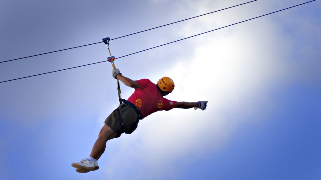 Cozumel showing zip lining and a sporting event as well as an individual male