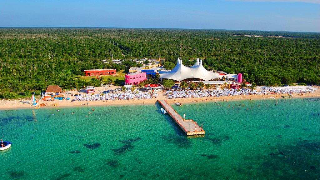 Cozumel showing a sandy beach and tropical scenes