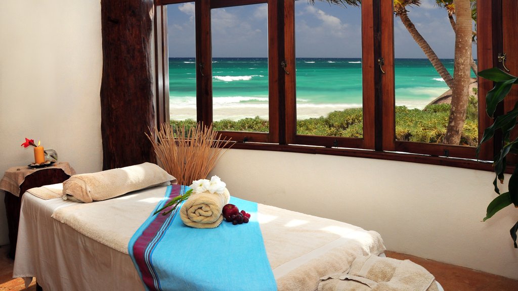 Riviera Maya featuring tropical scenes and interior views