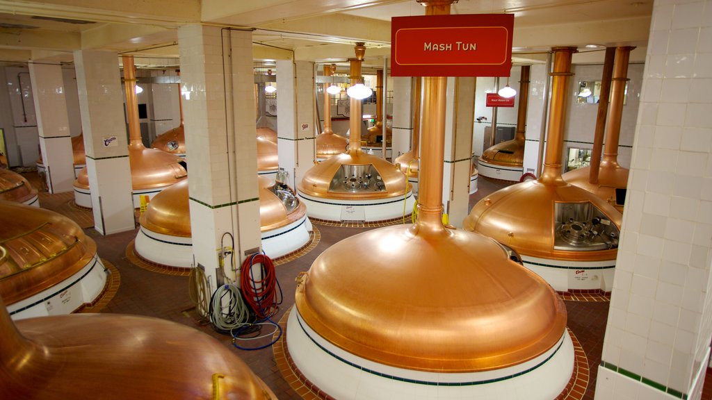 Coors Brewery showing interior views