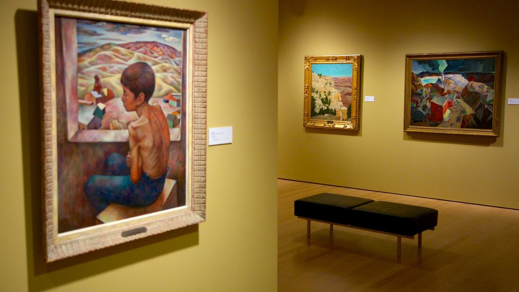 Phoenix Art Museum que inclui vistas internas e arte