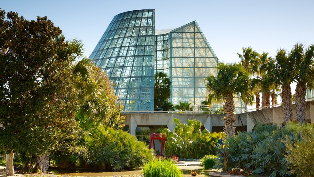 Jardín botánico de San Antonio mostrando arquitectura moderna y un jardín