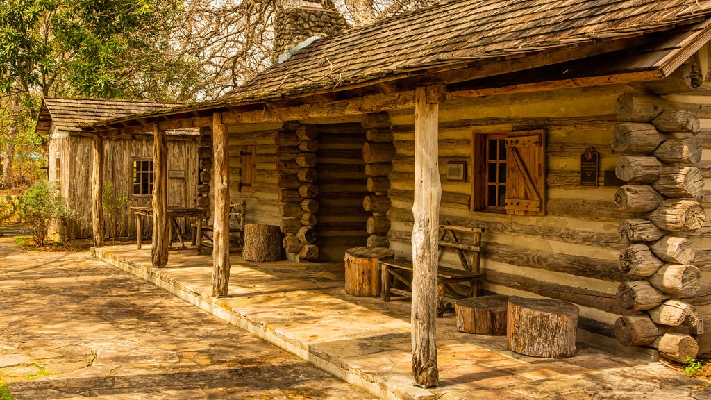 Witte Museum showing a house