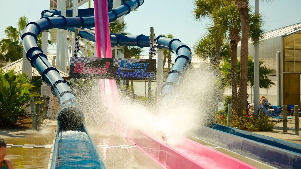 Galveston Schlitterbahn Waterpark mostrando passeios e um parque aquático