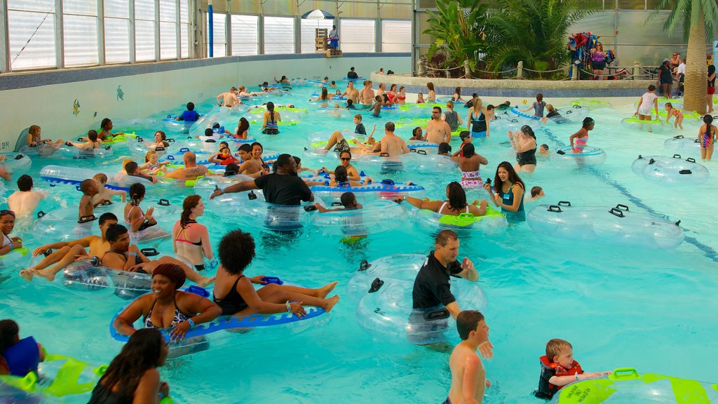 Galveston Schlitterbahn Waterpark showing a water park, a pool and rides