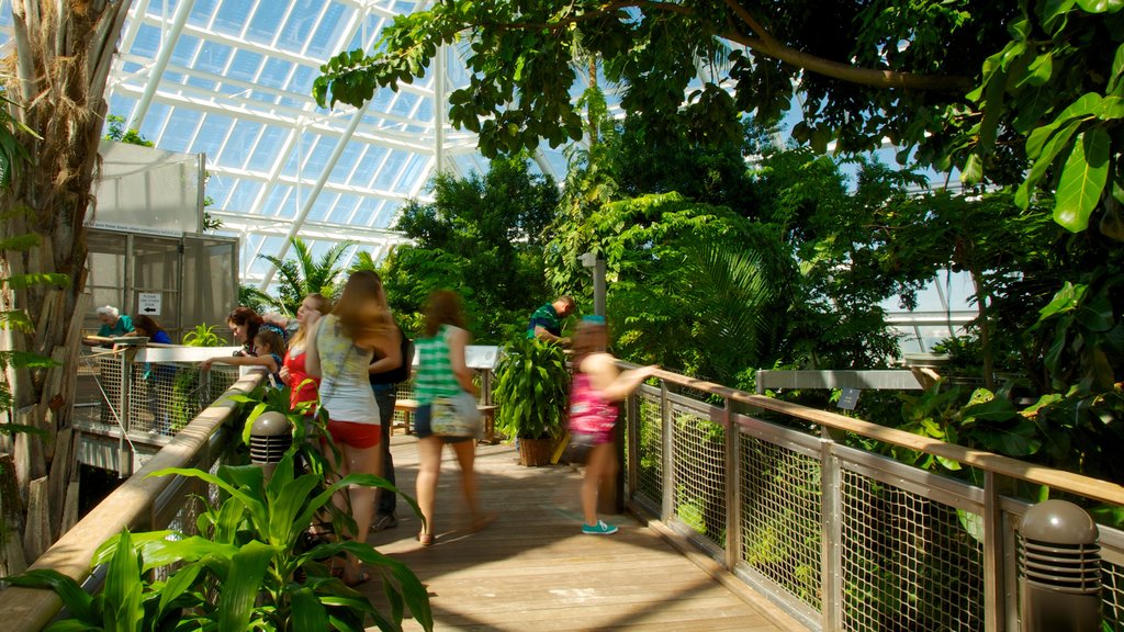 Moody Gardens showing a park and interior views