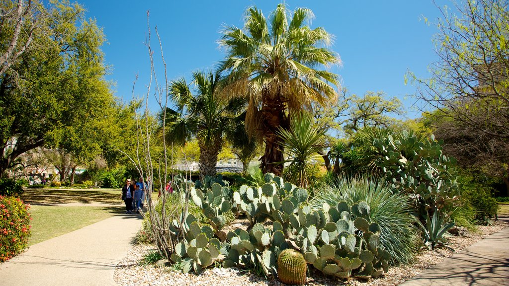 Alamo featuring a garden