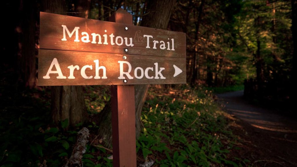 Mackinac Island showing signage