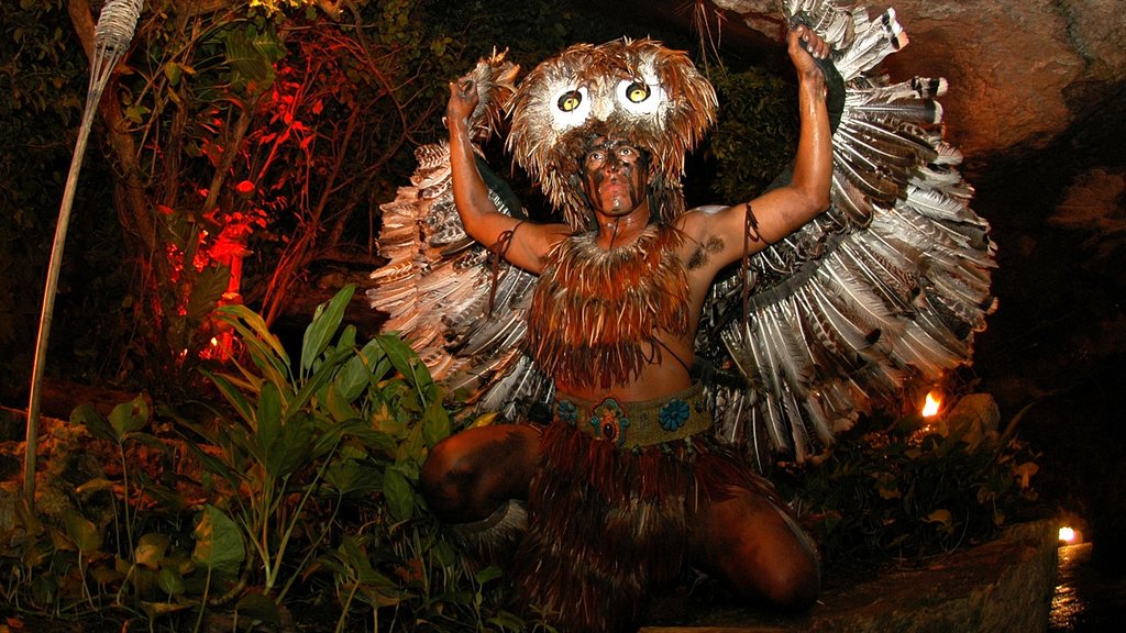 Parque temático ecológico Xcaret mostrando vistas interiores y paseos y también un hombre