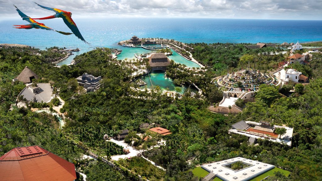 Parque temático ecológico Xcaret mostrando aves, vista general a la costa y una ciudad costera