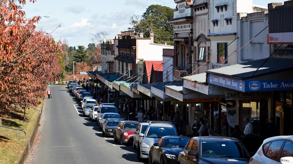 Blue Mountains montrant une petite ville ou un village et scènes de rue