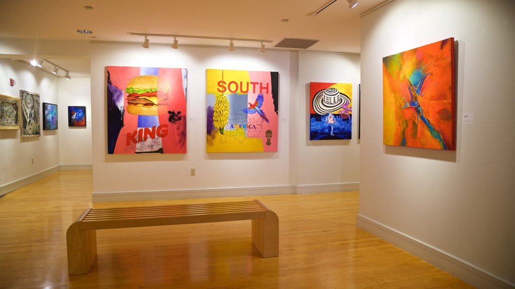 Coral Springs Museum of Art bevat kunst en interieur