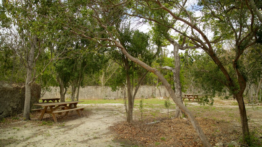 Windley Key Fossil Reef Geological State Park which includes a garden