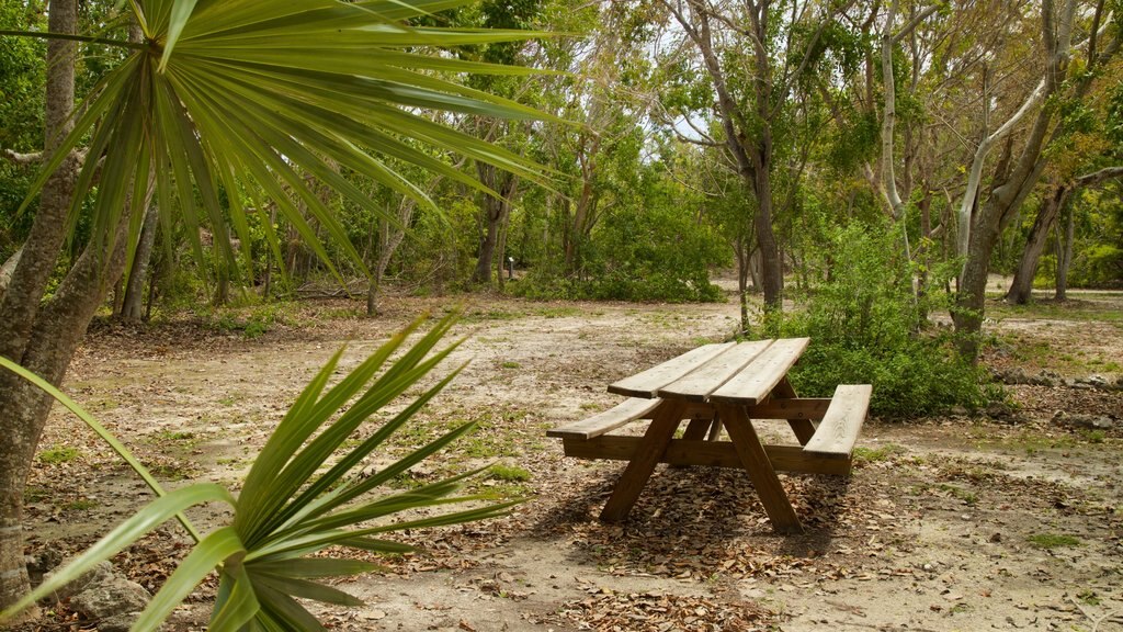 Windley Key Fossil Reef Geological State Park som visar en trädgård