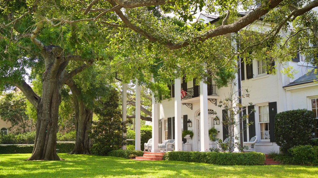 Hyde Park showing a garden and a house