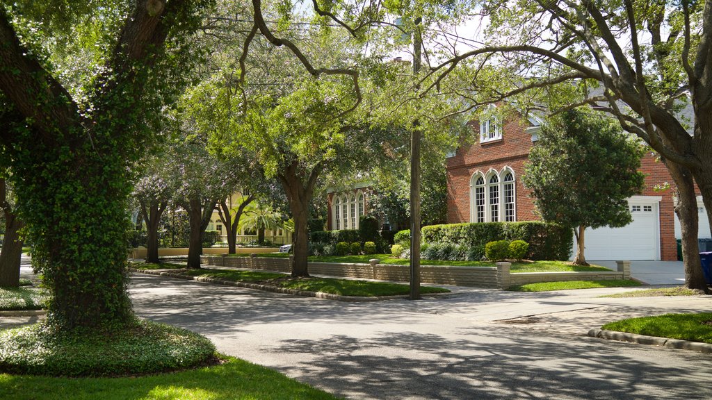 Hyde Park featuring a garden and a house