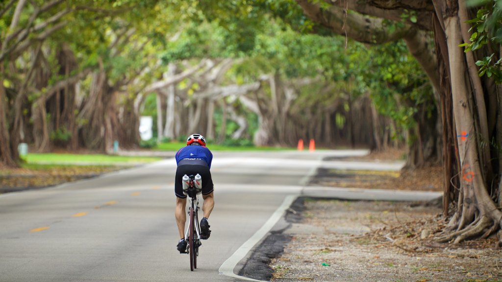 Old Cutler Trail showing a garden and road cycling as well as an individual male