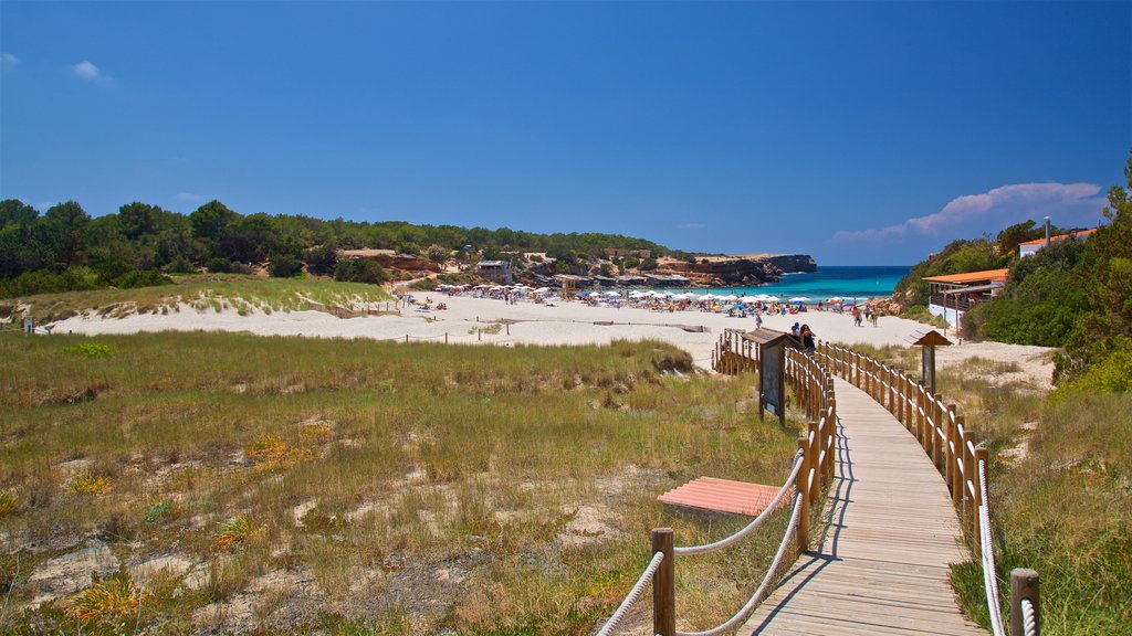 Cala Saona que incluye vistas generales de la costa