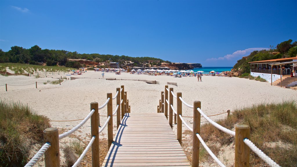 Cala Saona que incluye vistas generales de la costa y una playa