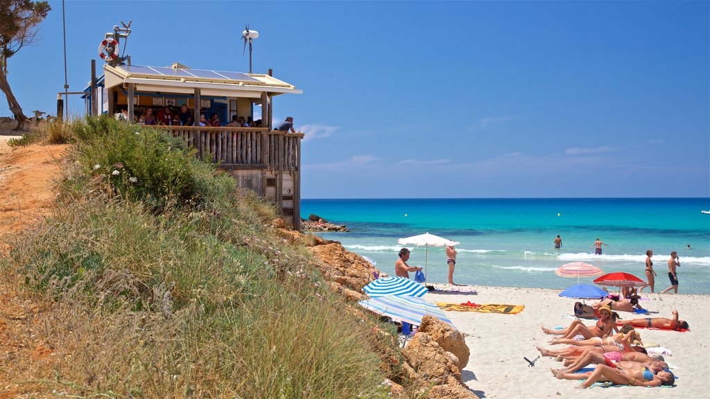 Cala Saona toont algemene kustgezichten en een zandstrand en ook een klein groepje mensen