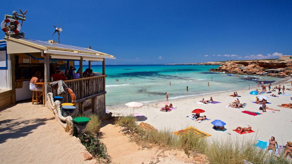 Cala Saona que incluye una playa y vistas generales de la costa y también un pequeño grupo de personas