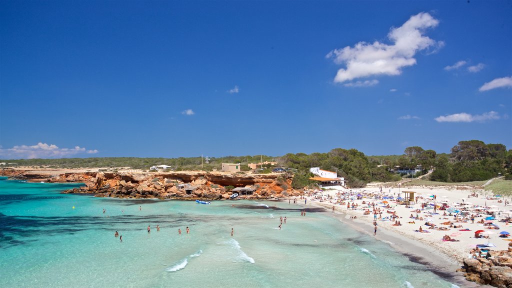 Cala Saona which includes landscape views and general coastal views