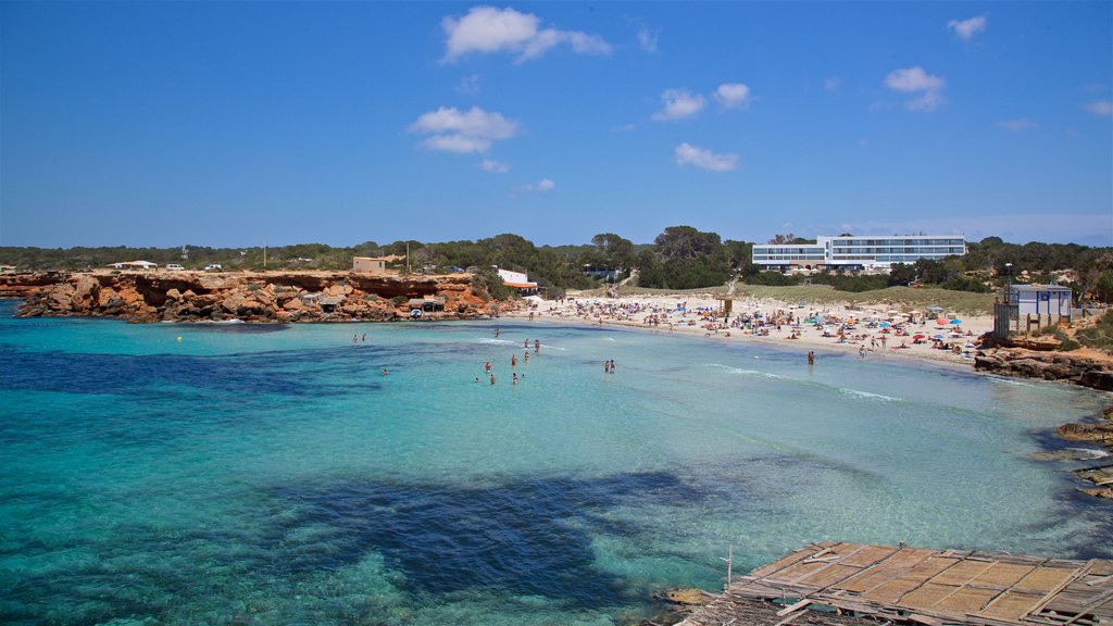 Cala Saona mostrando vistas generales de la costa y costa rocosa