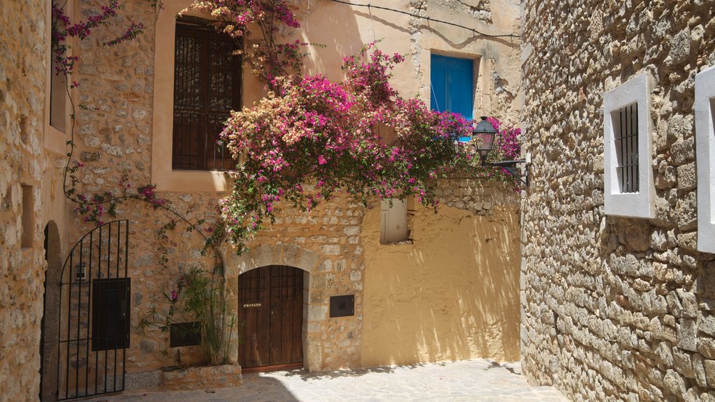 Ibiza caracterizando flores