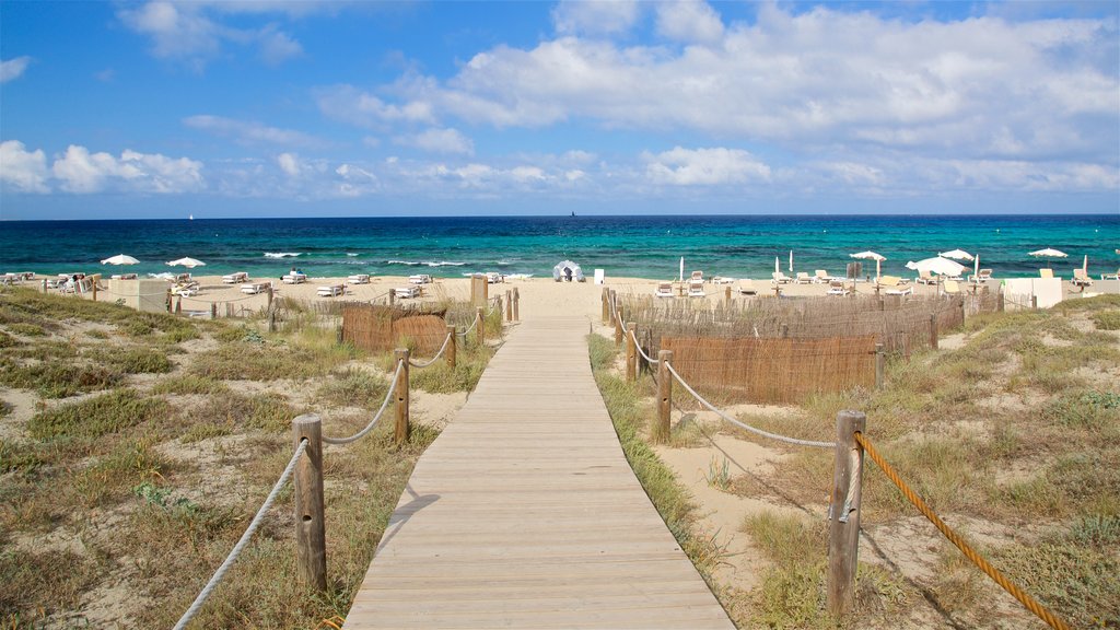 Llevant Beach que incluye una playa de arena y vistas generales de la costa