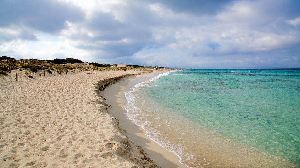 Llevant-stranden som omfatter udsigt over kystområde og en sandstrand