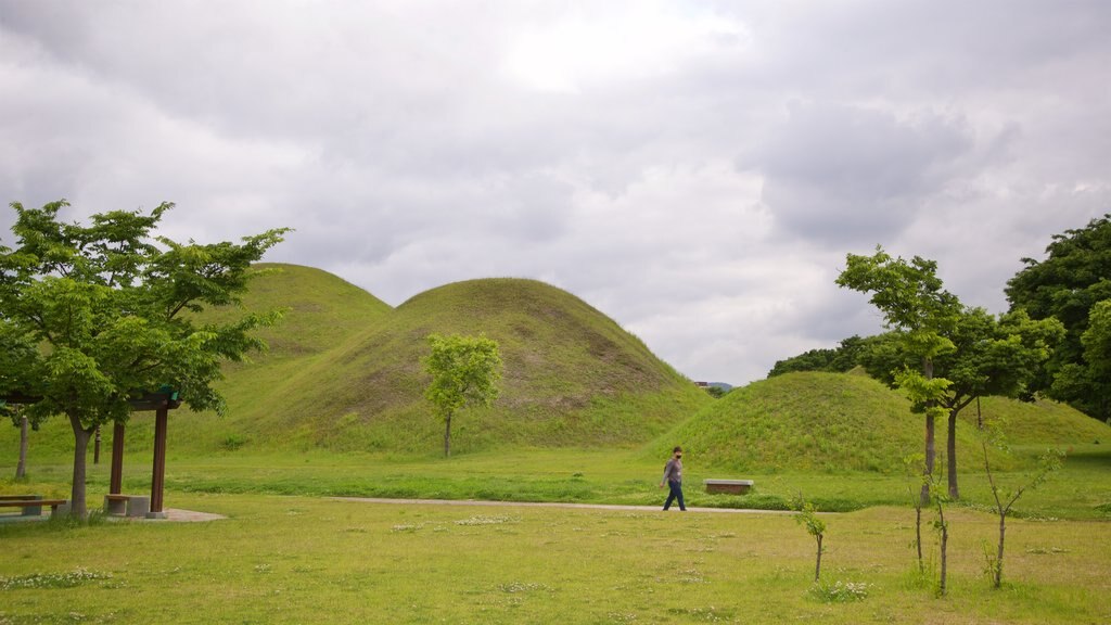 Gyeongju showing a garden