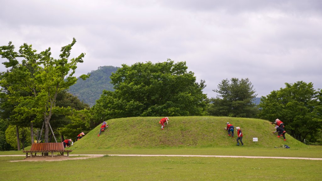 Gyeongju featuring a park as well as a small group of people