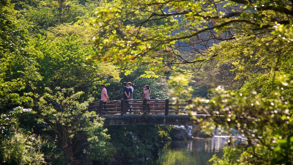 Waterval van Cheonjiyeon toont een rivier of beek, een park en een brug