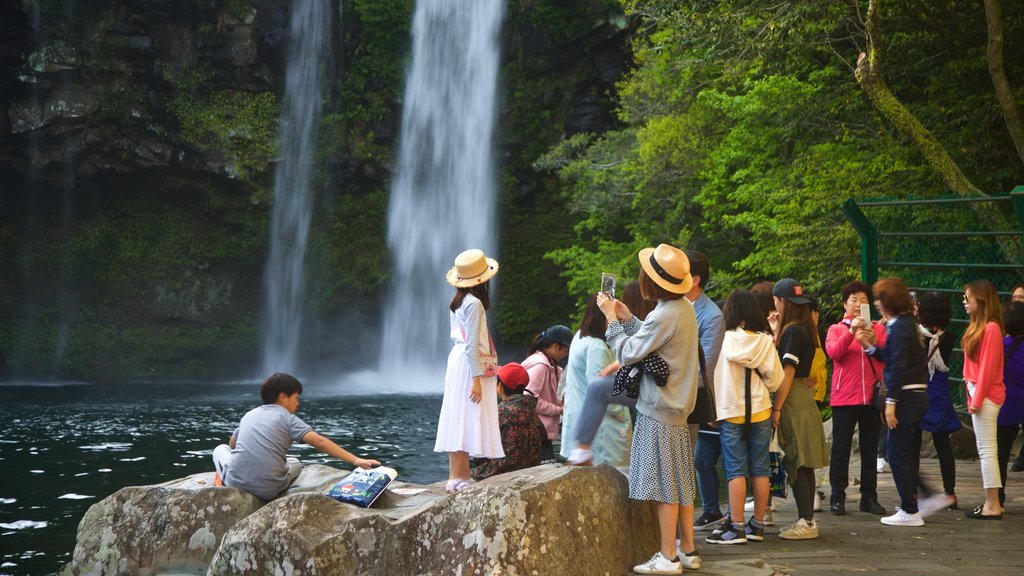 Cheonjiyeon Waterfall showing a cascade as well as a small group of people