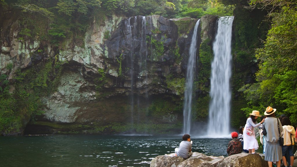 Cheonjiyeon Waterfall featuring a cascade as well as a small group of people