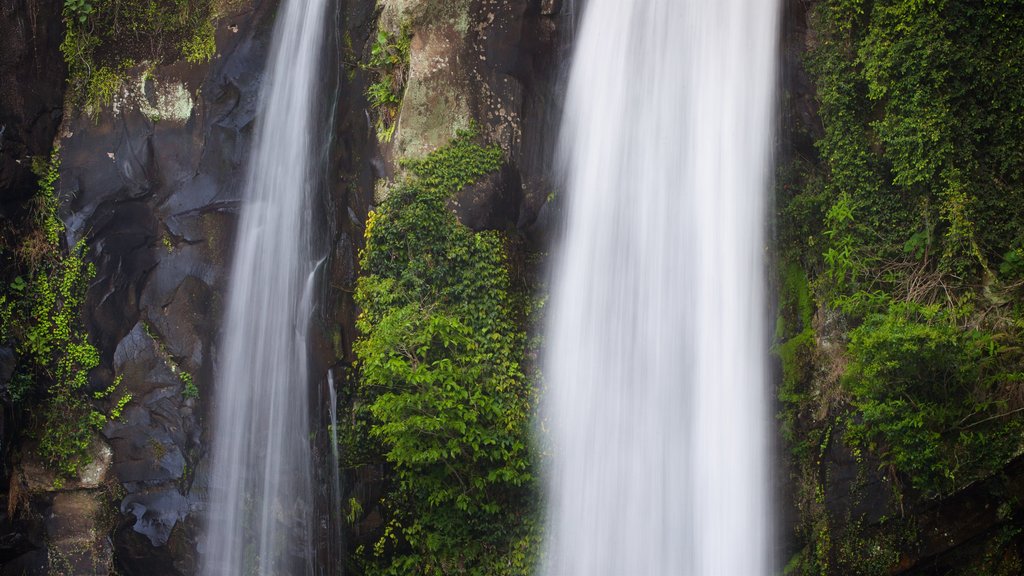 Cheonjiyeon Waterfall featuring a cascade