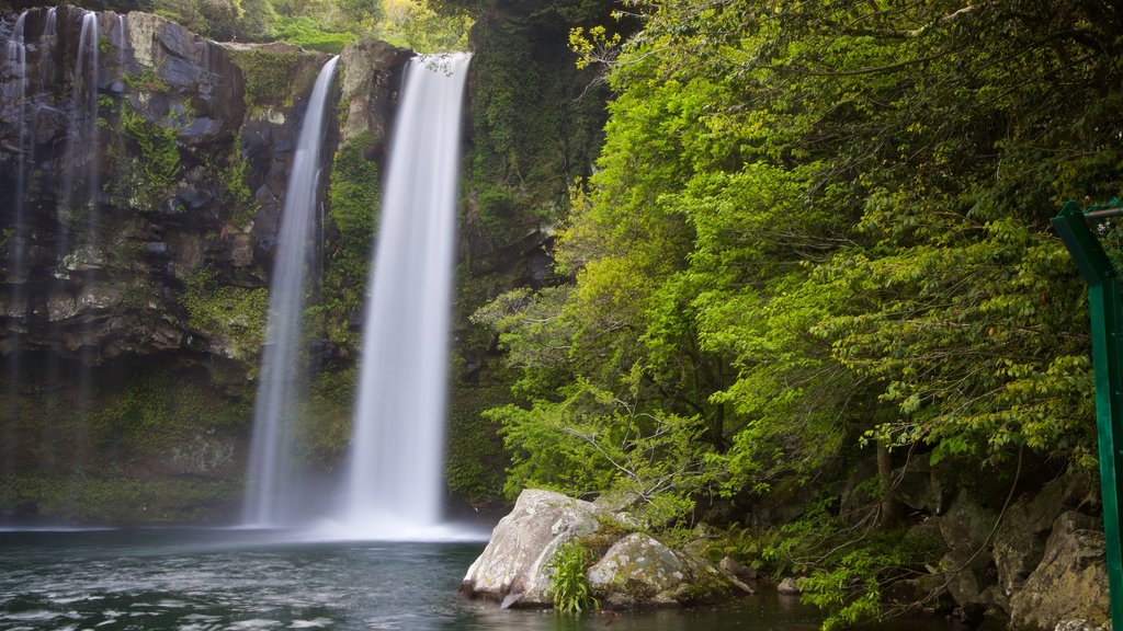 Cheonjiyeon Waterfall featuring a cascade