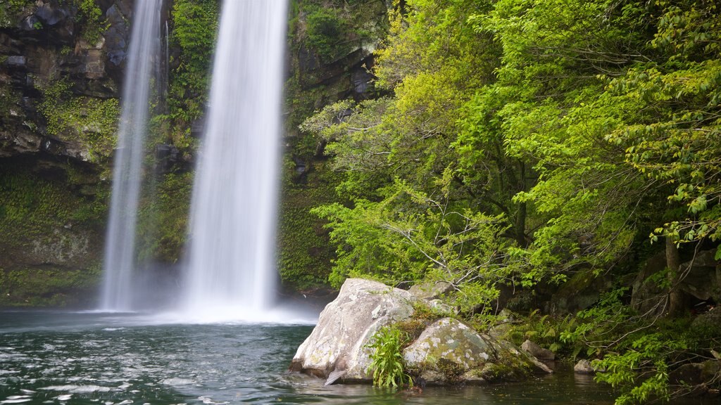 Cascadas de Cheonjiyeon ofreciendo una cascada