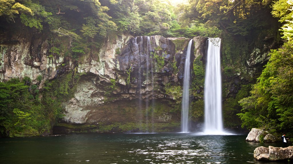 Cascadas de Cheonjiyeon ofreciendo una cascada