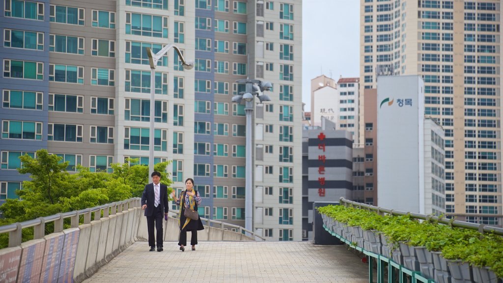 Yeonje-gu mettant en vedette scènes de rue et ville aussi bien que couple