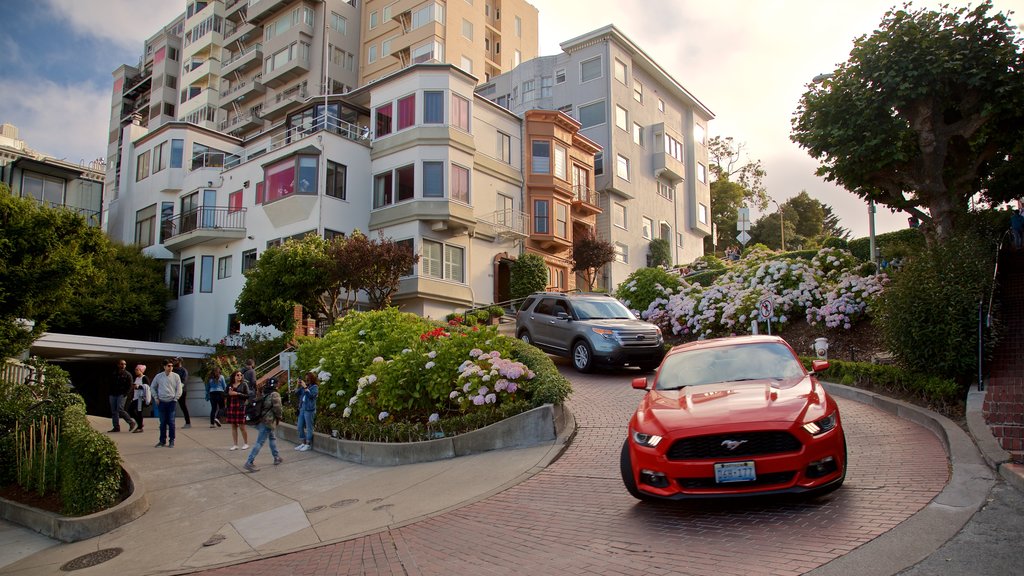 Lombard Street showing flowers, a house and a sunset