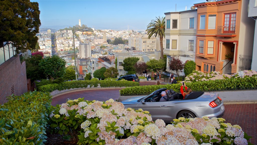 Lombard Street showing flowers and a garden