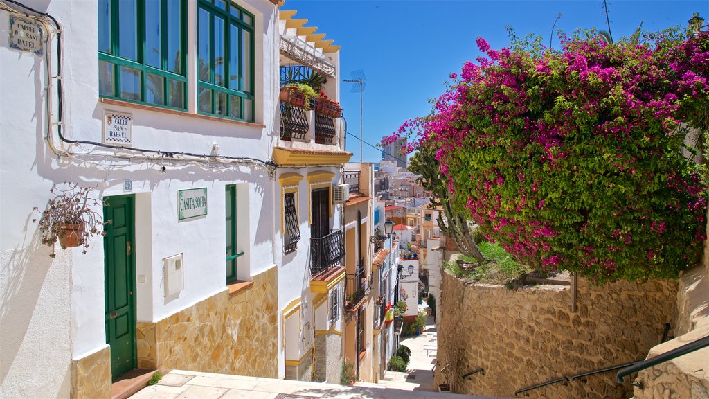 Espanha caracterizando flores silvestres