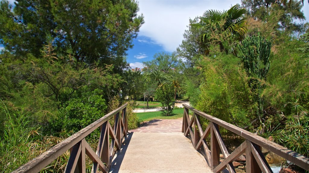 Parque de Benicalap mostrando um jardim