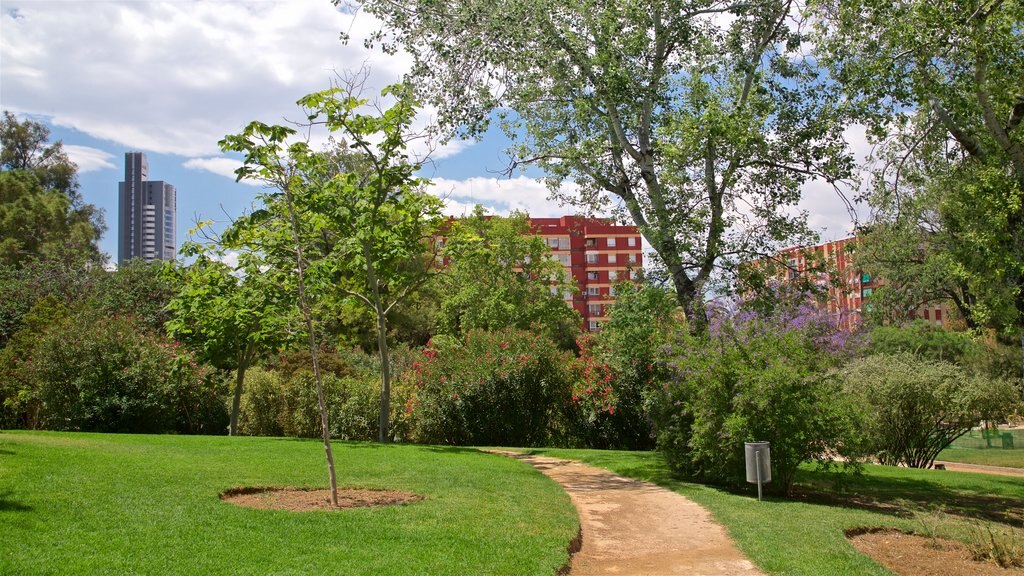 Parque de Benicalap mostrando un jardín