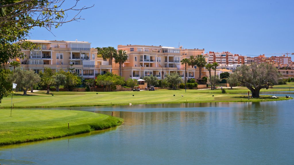 Campo de golf de Alicante mostrando golf y un lago o abrevadero