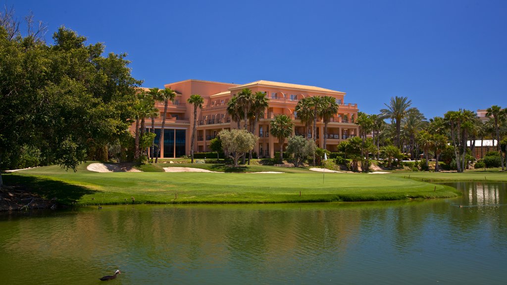 Campo de golf de Alicante mostrando golf y un lago o espejo de agua