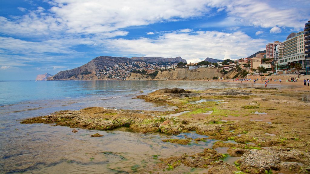 Arenal-Bol Beach showing general coastal views and rocky coastline